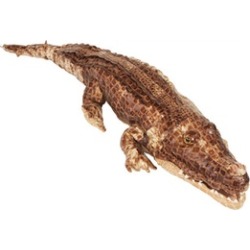 Sunny Toys NP8012C 30 in. Crocodile - Sandy, Animal Puppet