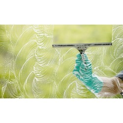 Window Cleaning and Restoration with Hard-Water Treatment from Worried Bird Window Washing (Up to 55% Off).