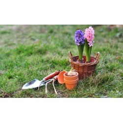 $26 for $50 Worth of Gardening Supplies at AJT Supplies