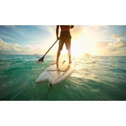 One- or Two-Hour Stand Up Paddleboard Rental for One or Two at Gulfside Paddleboards (Up to 29% Off)