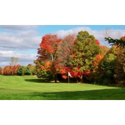 18 Holes and a Golf Cart for Four at Pequabuck Golf Club (Up to 50% Off)