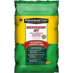 Pennington Seed 100516051 7 lbs. Kentucky 31 Tall Fescue Seed