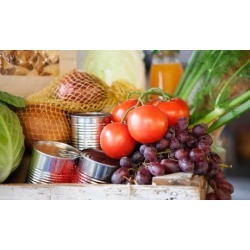 Initial Appointment with One or Two Additional Visits at Holistic Nutrition Center (Up to 60% Off)