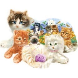 Special Shaped Kittens Jigsaw Puzzle 1000 Piece Puzzle