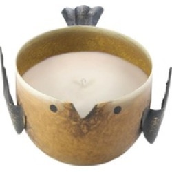 Sunrise Creek Key Lime Birdie Candle