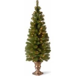 National Tree MC7-308-50 Montclair Spruce Entrance Tree