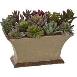 Green Color Mixed Succulent Artificial Plant in Vase