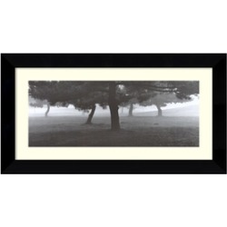 Richard Calvo 'Trees in the Fog' Framed Art Print 25x13-in