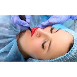 Lips/Eyeliner Permanent Makeup, Microblading Session/Ombré Eyebrows at Precision PMU Academy (Up to 42% Off)