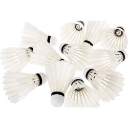 Professional Badminton Shuttercock 12pcs High Speed White Teal Feather