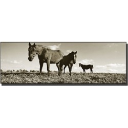 The Horses by Preston-16x48 Art