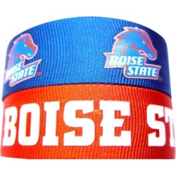 Sports Team Logo Set of 2 Slap Snap Wrap Wrist Band NCAA