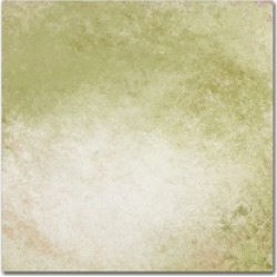 Marcee Duggar 'Soft Wallpaper Green' Canvas Art
