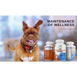 The Original 5-IN-1 Dog Vitamins with CoQ10 Supplement Soft Chews