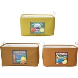 Elements Set of 3 Nesting Storage Baskets, Fruit Labels
