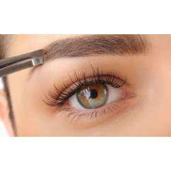 One or Three Eyebrow Waxes with Optional Tint at Desert Alchemy Skincare (Up to 50% Off)