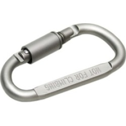 D-Ring Key Chain Keychain Clip Hook Outdoor Buckle Aluminum Carabiner