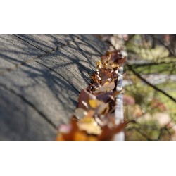 $99 for $198 voucher - H & H Gutter Systems, LLC
