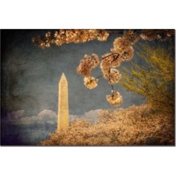 The Washington Monument 16x24 Canvas Print 16 x 24