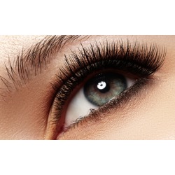 Choice of 80, 100, or 120-Piece Mink Lash Set with Optional Fill at Lash Secret, LLC (Up to 64% Off)