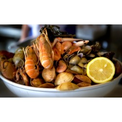 Casual Seafood at Fifer's Seafood (Up to 38% Off). Two Options Available.