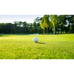 One-Hour Golf Instruction for One or Two Individuals at Del Lago Golf Academy (Up to 49% Off)