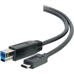 Cables To Go 11816184 USB Cable - 6 ft.