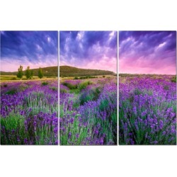 Split Canvas Art Set 12"x24" 3 Pieces Purple Field