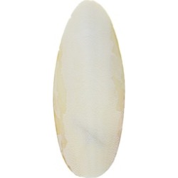 Prevue Pet Products 067329 Bulk Cuttlebone