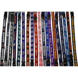 Licensed NFL Team Breakaway Lanyard with Key Ring Ticket Holder