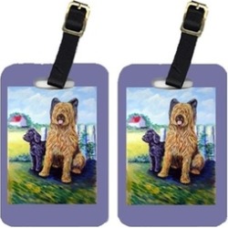 Carolines Treasures 7092BT Briard Training Day For The Puppy Luggage Tags Pack -
