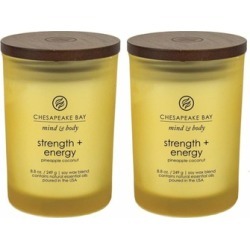 Chesapeake Bay Candle Mind & Body Scented Candles, Strength Energy