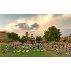 $5.50 for Admission to Weekly Music and Yoga Festival at Desert Canvas ($10 Value)