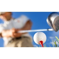 $59 for One 60-Minute Golf Lesson from Bob Greenstein PGA Professional ($120 Value)