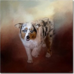 Jai Johnson 'Ball Of Energy Australian Shepherd' Canvas Art