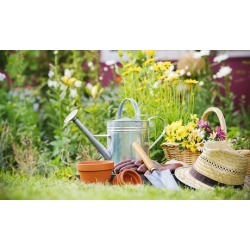 $30 for $50 Worth of Plants and Gardening Supplies at Williams Magical Garden Center & Landscape
