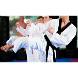 Taekwondo 10-Class Pass with Uniform and Option for Test and Graduation Belt from Go2Taekwondo Houston (93% Off)