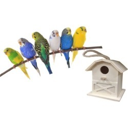 Decorative Birdhouse Perfect For Adults And Children To Paint
