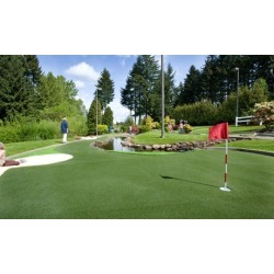 $12.50 for One Round of Mini Golf for Up to Four People at Tualatin Island Greens ($20 Value)