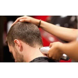 $81 for $150 Worth of Services - MOBILE CUTS