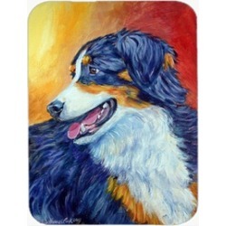 Carolines Treasures 7288LCB Australian Shepherd Glass Cutting Board - Large 15 x