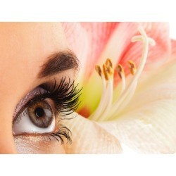 $220 for $400 Worth of Services - Belle Ame Mobile