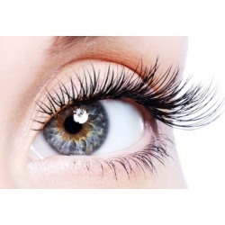 Eyelash Extensions with Optional Two-Week Fill at Hollywood Lash and Beauty Bar (Up to 67% Off)