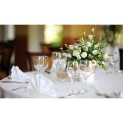 $27 for $60 Worth of Wedding-Planning Services - Ocala Weddings & Events