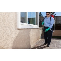 Pest-Control Services from Beeline Pest Control (Up to 60% Off). Three Options Available.