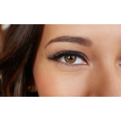 Upper or Lower Permanent Eyeliner, Both, or Eyebrow Application from Patti Martin (Up to 60% Off)