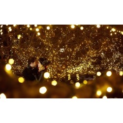 Holiday Light Installation and Removal from Bill's Handyman Services (Up to 10% Off). Three Options Available.