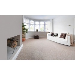$18 for $45 Worth of Rug and Carpet Cleaning - Cee's Cleaning Company