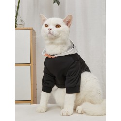Planet Print Pet Hoodie