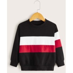 Toddler Boys Contrast Panel Crew Neck Sweatshirt